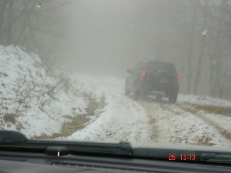 DSC03549.jpg