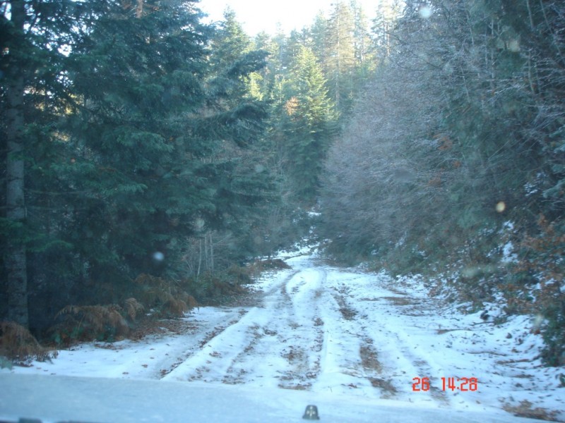 DSC03558.jpg