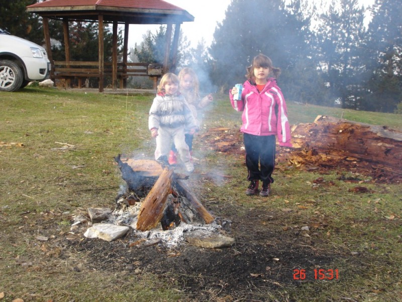 DSC03568.jpg