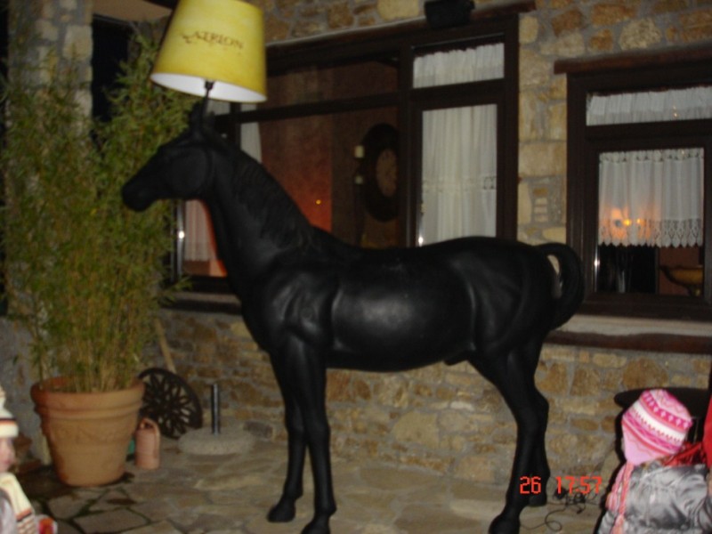 DSC03576.jpg