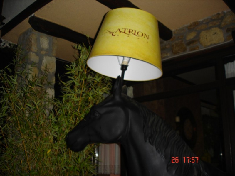 DSC03577.jpg