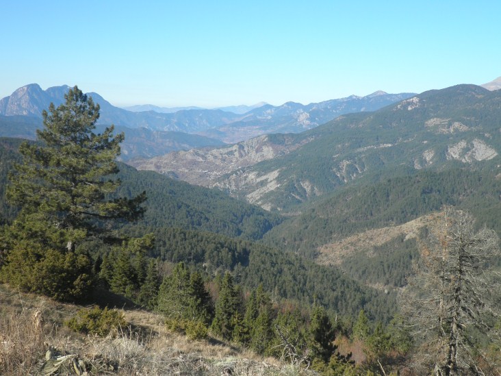 PB190166 (732 x 549).jpg