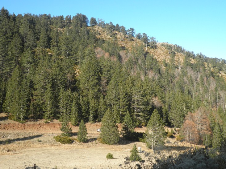 PB190145 (732 x 549).jpg