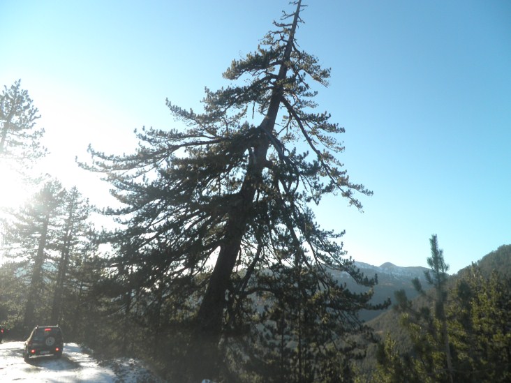 PB180045 (732 x 549).jpg
