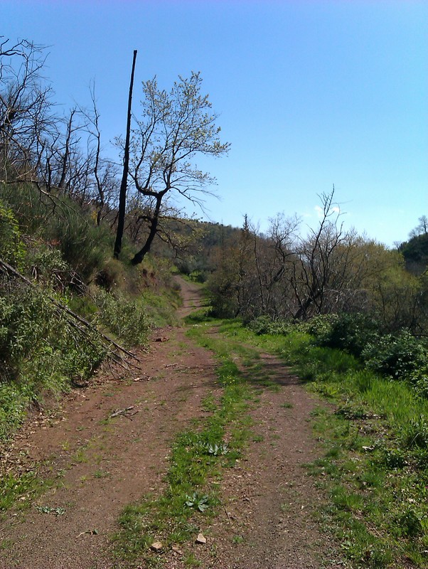 imag0079f.jpg