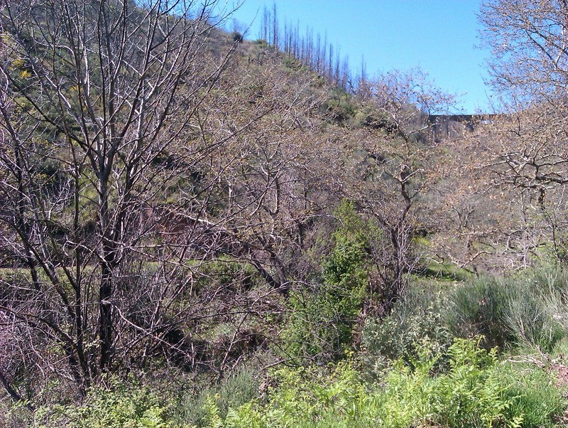 imag0080u.jpg