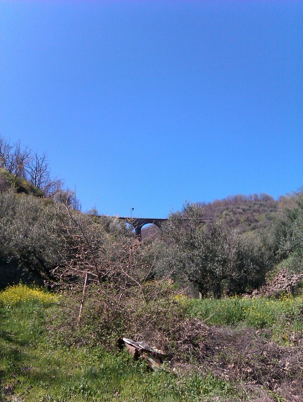 imag0081il.jpg