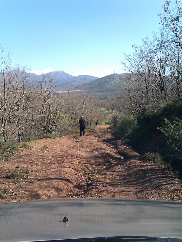 imag0087yx.jpg