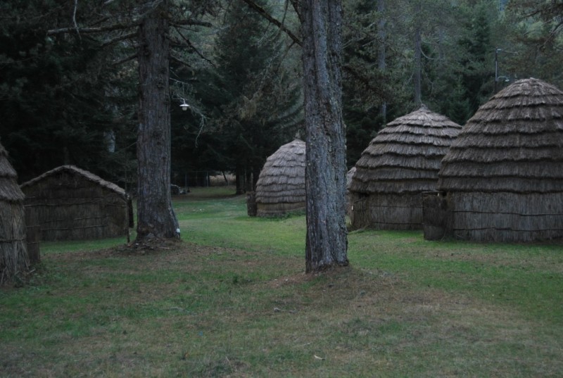 DSC_0121.jpg