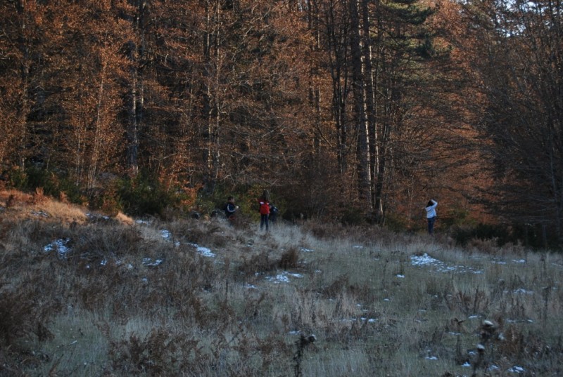 DSC_0019.jpg