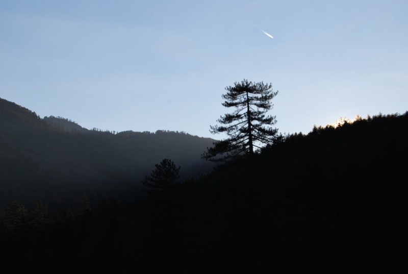 DSC_0015.jpg