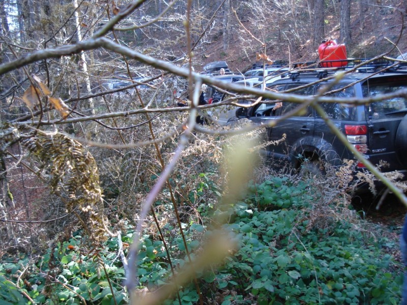 DSC02643.jpg