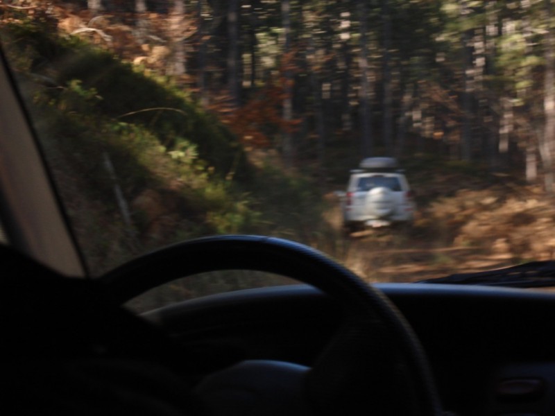 DSC02615.jpg