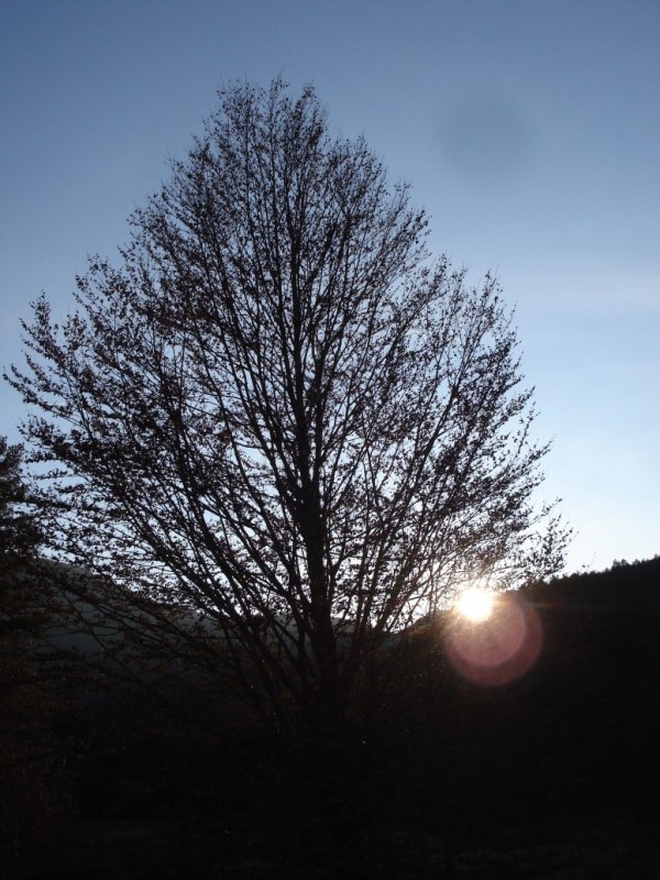 DSC02590.jpg