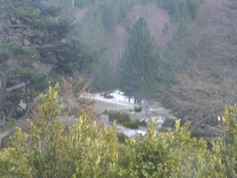 PB180031.jpg