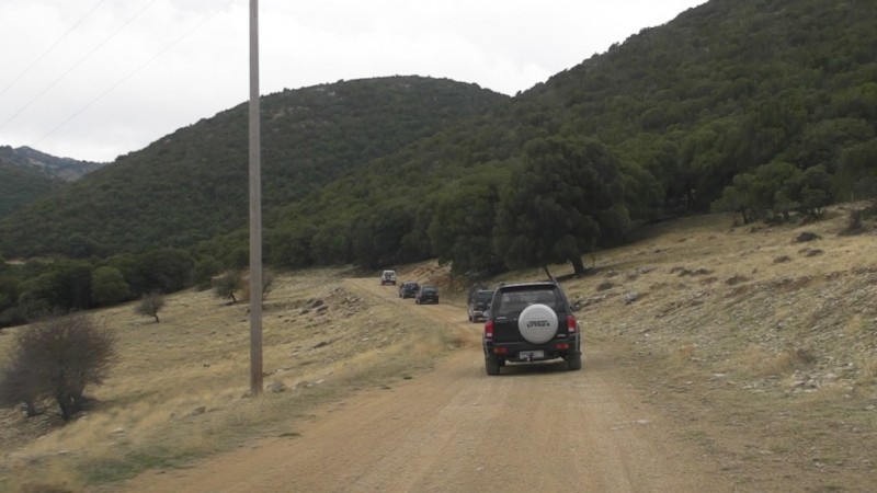 SANY0068.jpg