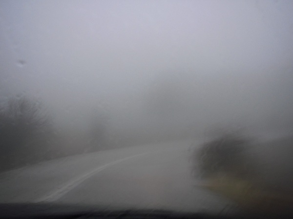 PC110045.jpg