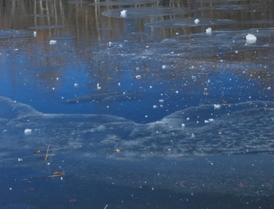 DSC_8994.JPG
