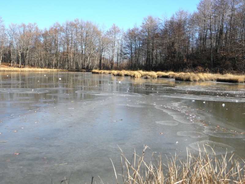 PB200072.jpg