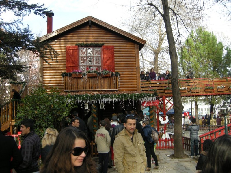 DSCN2769.jpg
