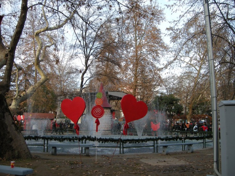 DSCN2787.jpg