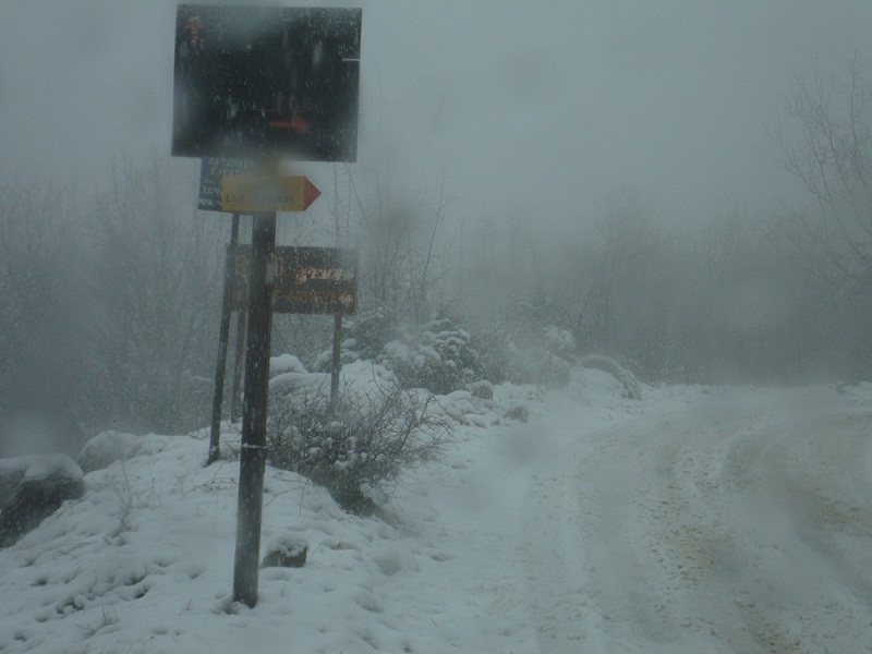 DSC01363.JPG