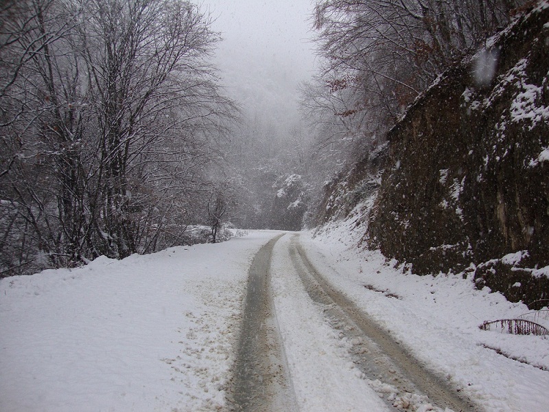 DSC01364.JPG