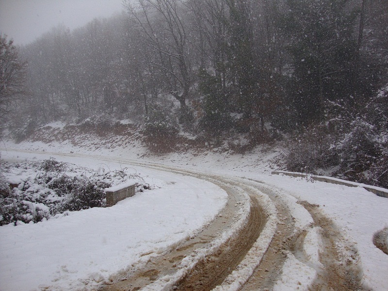 DSC01367.JPG