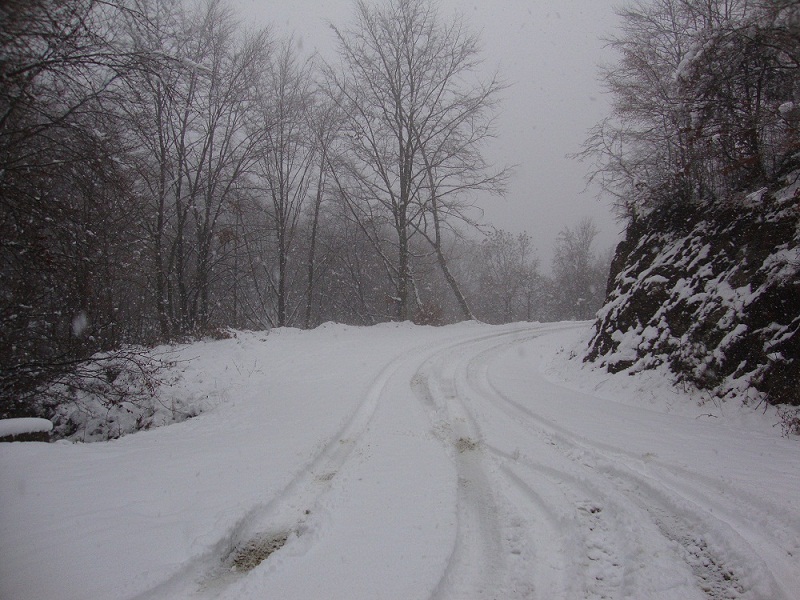 DSC01370.JPG
