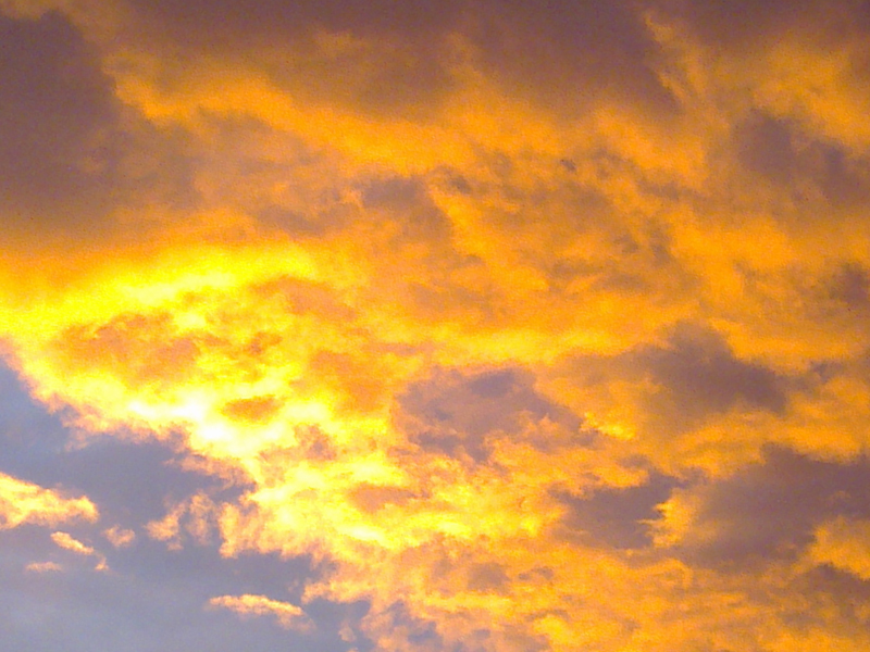 06122011684.jpg
