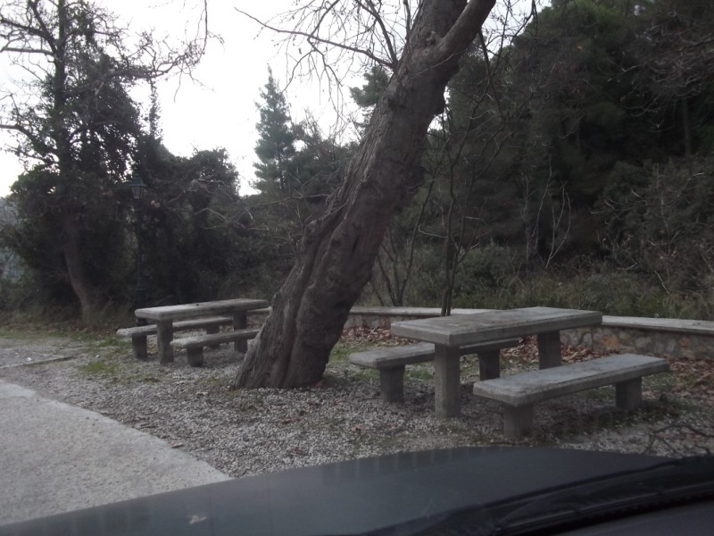 DSCF0569.jpg