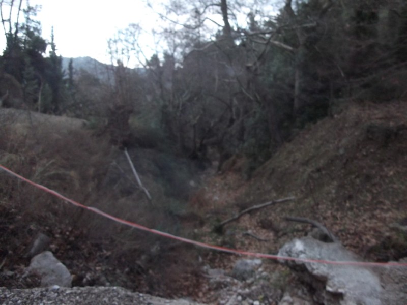 DSCF0568.jpg