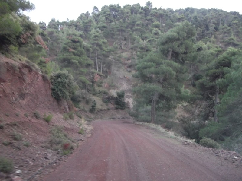 DSCF0567.jpg