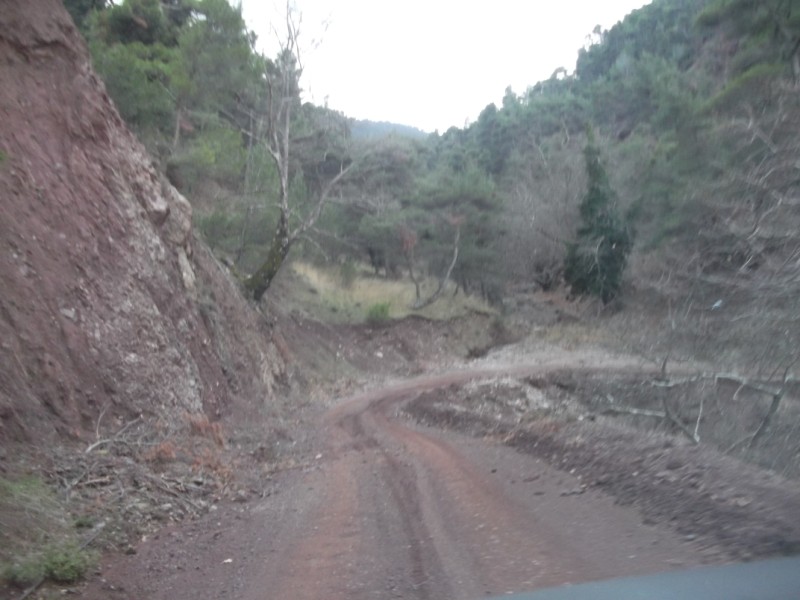DSCF0566.jpg