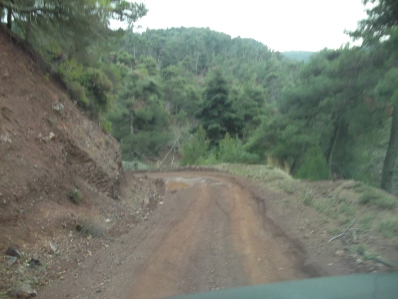 DSCF0565.jpg