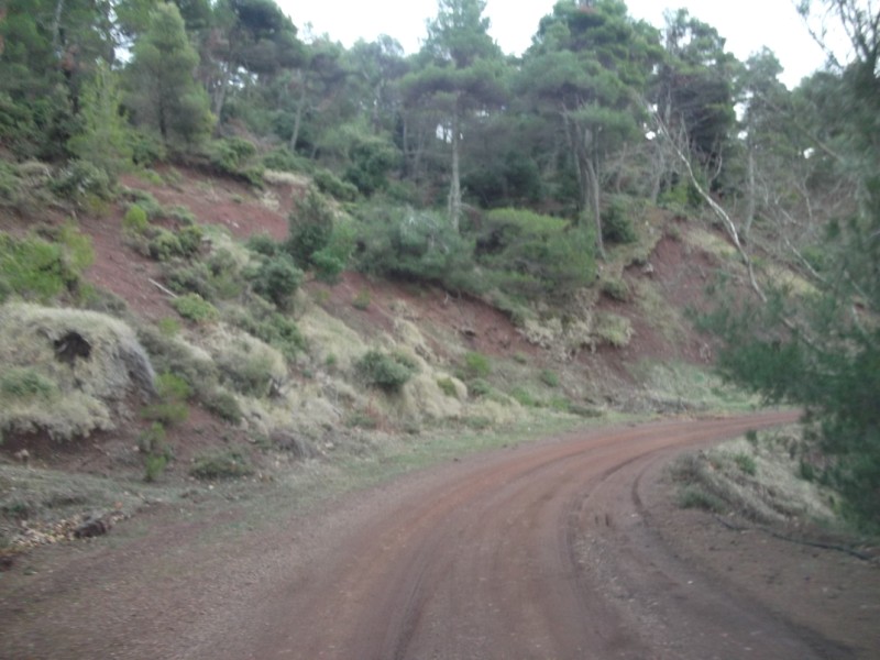 DSCF0564.jpg
