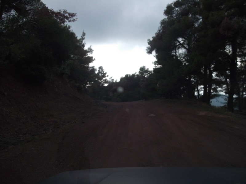 DSCF0563.jpg
