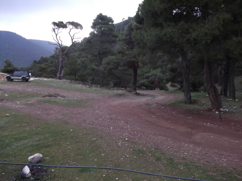 DSCF0554.jpg