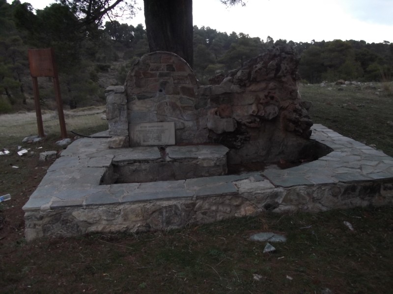 DSCF0550.jpg