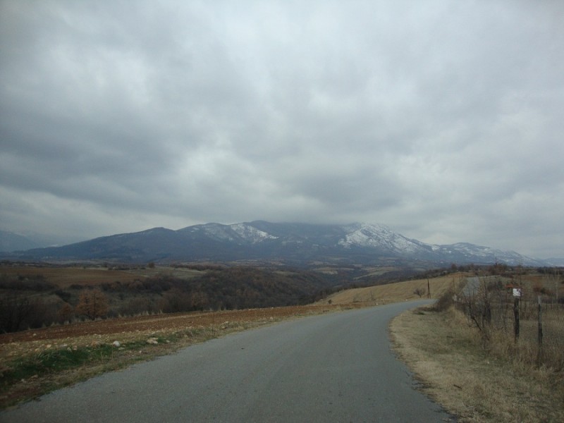 DSC01382.JPG