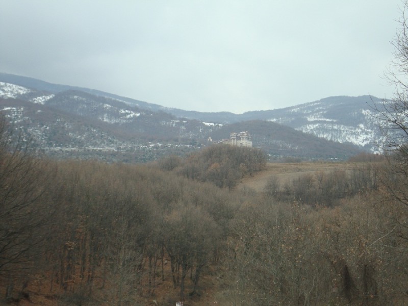 DSC01383.JPG