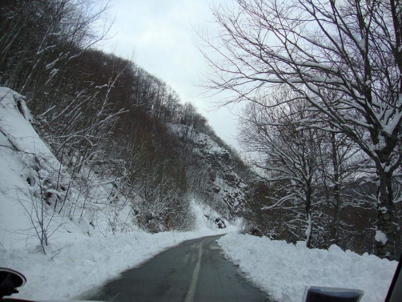 DSC01384.JPG