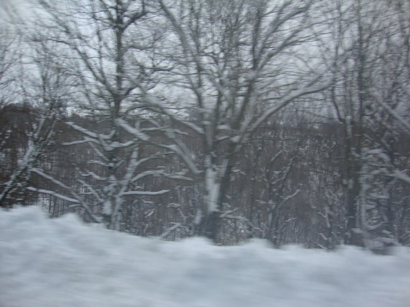 DSC01385.JPG