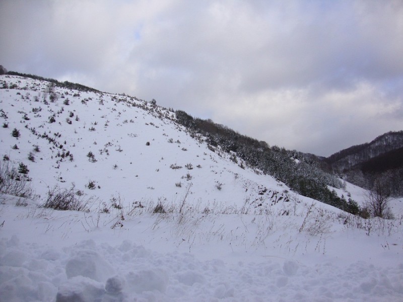 DSC01386.JPG
