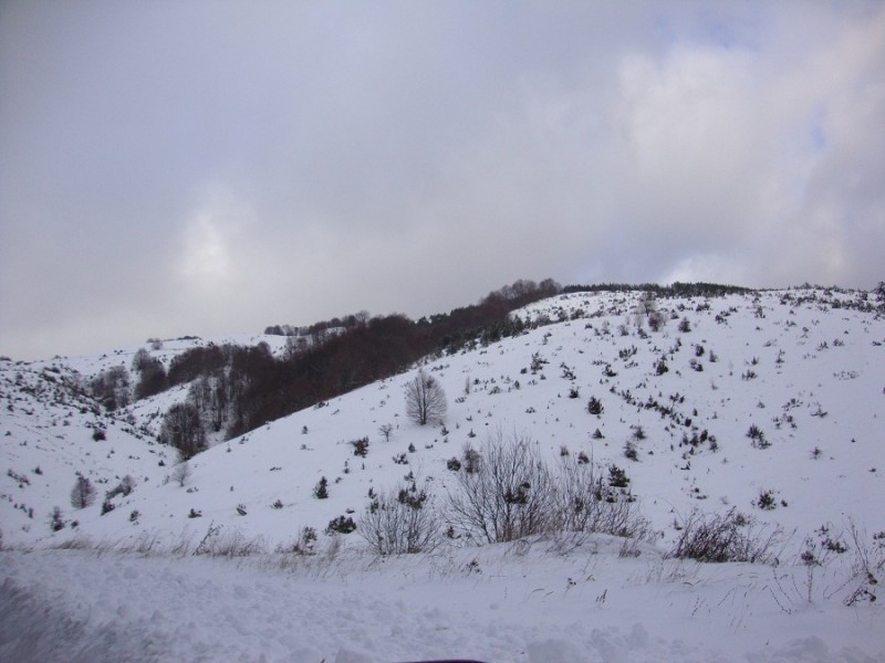 DSC01387.JPG