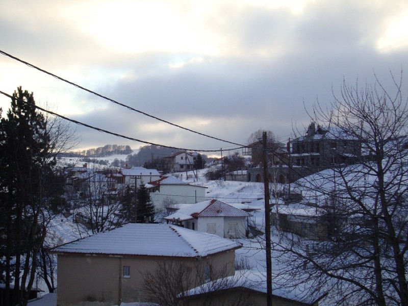 DSC01393.JPG