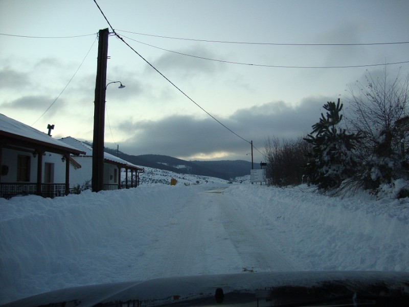 DSC01401.JPG