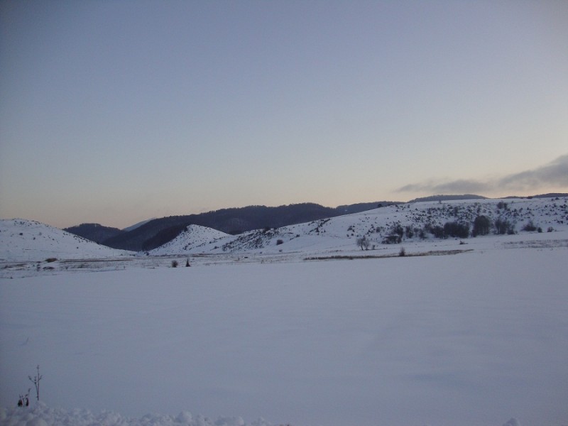 DSC01402.JPG