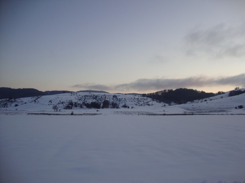DSC01403.JPG