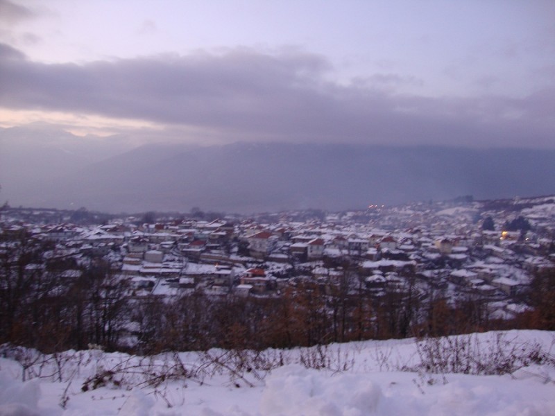 DSC01405.JPG